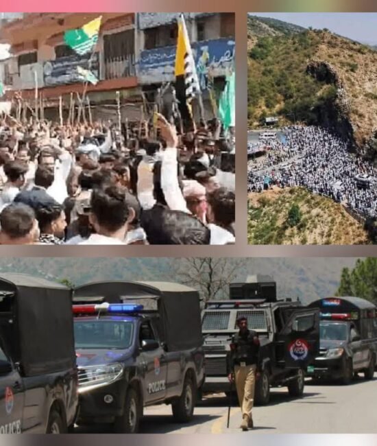 Pakistani Occupation Should Be Stopped in Occupied Kashmir and the Kashmiri Should Be Given Their Right to Self-Determination: JSFM Chairman Sohail Abro